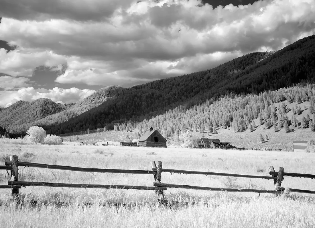 A buck-and-rail fence line running toward mountains on a Wyoming ranch.