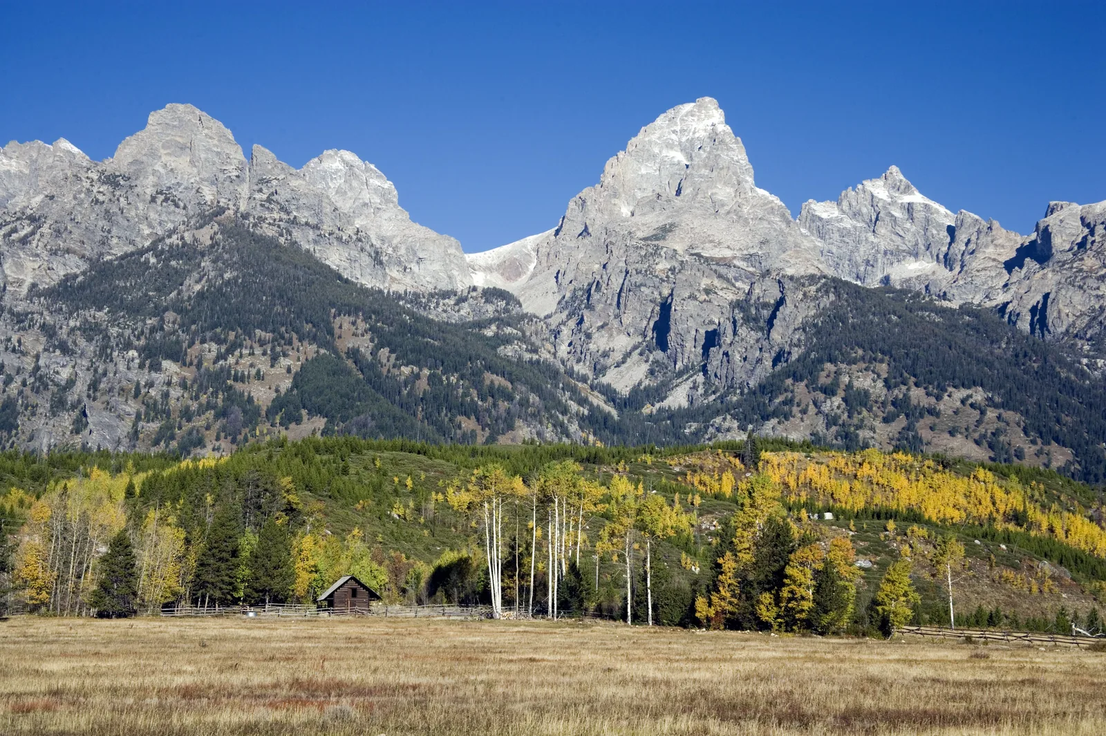 The Teton Range rising over aspen and sage in Grand Teton National Park, Wyoming.